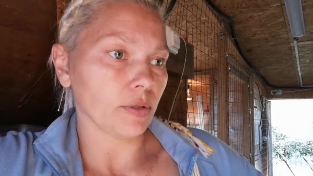 Птичий двор Евгении. Перепеловодство селекция. смотреть онлайн