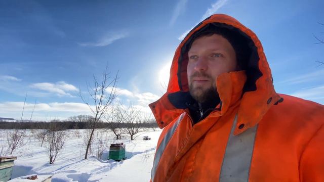 Зимовка пчел : как в этом году зимуют пчелы? Каким был пчеловодный сезон 2023? смотреть онлайн