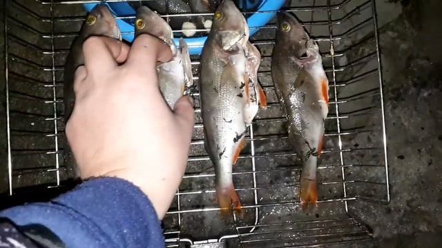 Астрономия и Космос