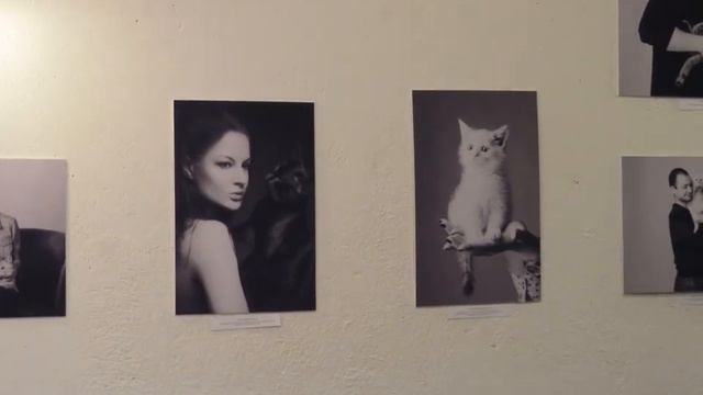 Прогулка в Раифу и кошки смотреть онлайн