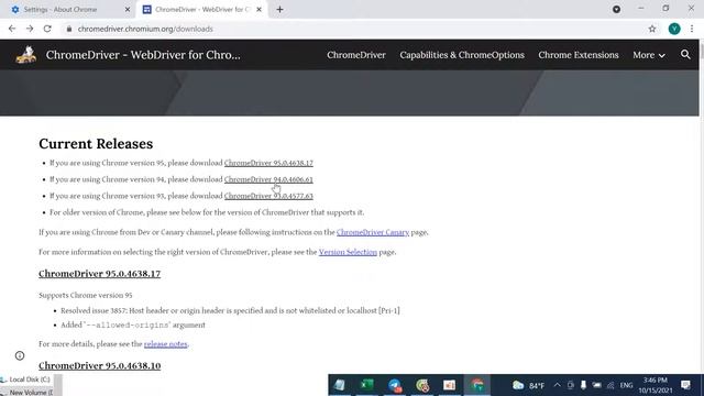 How to Update Chrome Driver 2021 смотреть онлайн