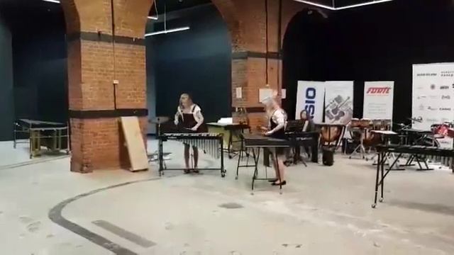 Д.Чимароза Концерт для 2 флейт с оркестром 1 часть смотреть онлайн