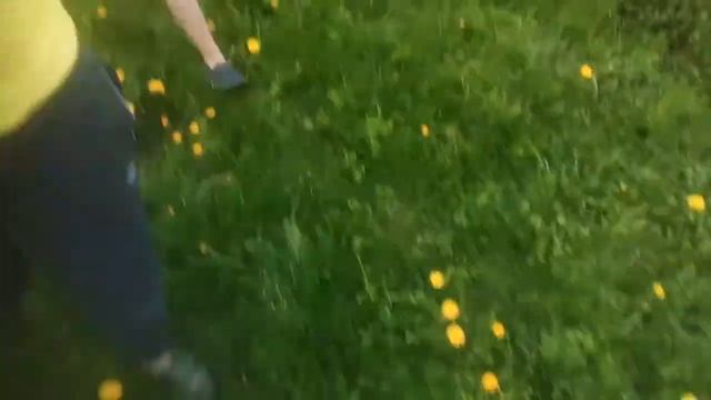 Секреты Мастера