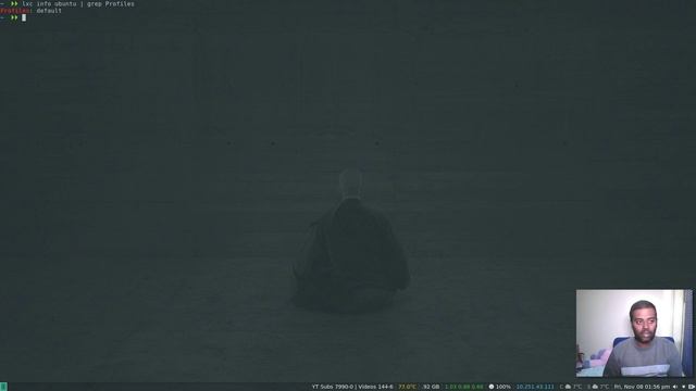 Beginners guide on using LXC profiles - Linux Containers смотреть онлайн