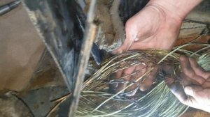 Рено магнум 1998г перестал заводиться