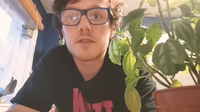 Pilea Cadierei (Aluminium Plant) plant care and the best tips for it to flourish. смотреть онлайн