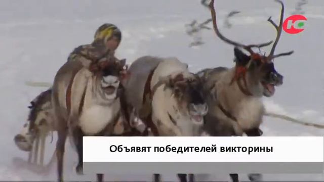 10 декабря объявят победителей викторины «90 вопросов о Югре» смотреть онлайн