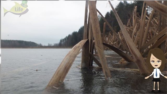 Рыболовный Лайфхак