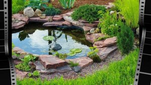 КАК СДЕЛАТЬ ИСКУССТВЕННЫЙ ВОДОЕМ НА ДАЧЕ / ДЕКОРАТИВНЫЙ БАССЕЙН / 50 ДАЧНЫХ ИДЕЙ