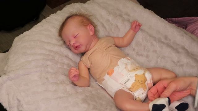 HONEST QUESTION For Fellow REBORN BABY COLLECTORS - Change + Chat with Bentley, Sam by Gudrun Legle смотреть онлайн