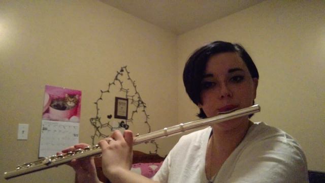 14th Song-- D. Gray-Man flute cover смотреть онлайн
