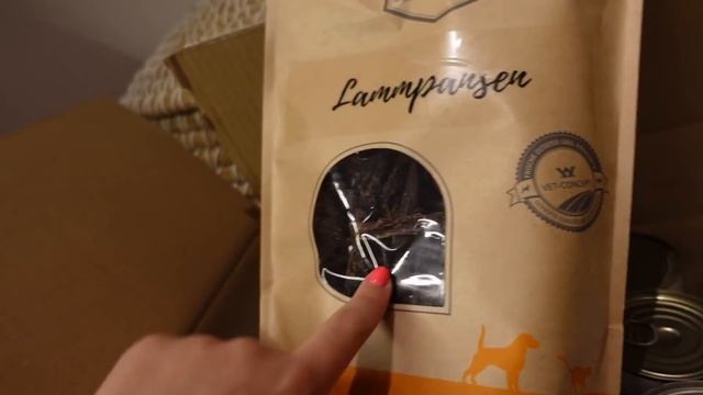 Baby Update - 10 Месяцев / Опять еду красится / Хочу повесить мох в квартире / Чем кормлю чихуахуа? смотреть онлайн