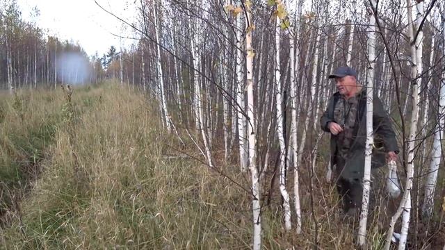 Вот это мы сегодня дали жару!!! Супер охота на зайца с Русскими гончими. смотреть онлайн