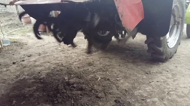 Звезды и цепь на привод фрезы смотреть онлайн