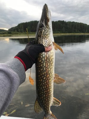 Рыбалка на щуку. Иркутская область залив Курма