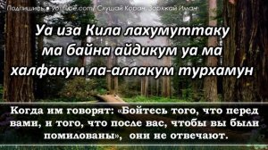 СУРА ЯСИН ? СПОКОЙСТВИЕ НА ВСЮ НОЧЬ ? И ЛЕГКОСТЬ С УТРА - СПОКОЙНЫЙ НОЧИ. КРАСИВОЕ ЧТЕНИЕ КОРАНА