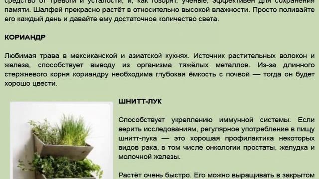 Огород на подоконнике смотреть онлайн