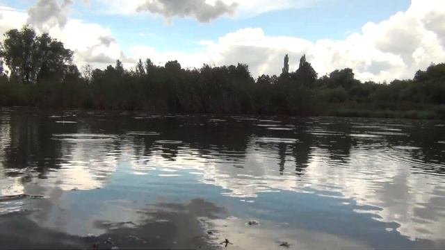 Звуки природы Шум дождя Озеро Легкий ветер вдалеке Пение птиц Для сна и релаксации