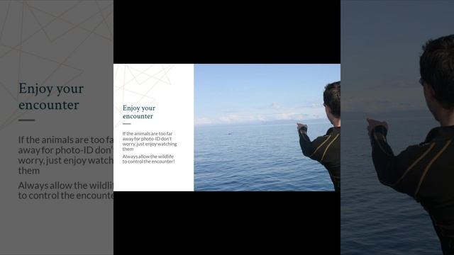 Photo ID: What's the Snap? смотреть онлайн