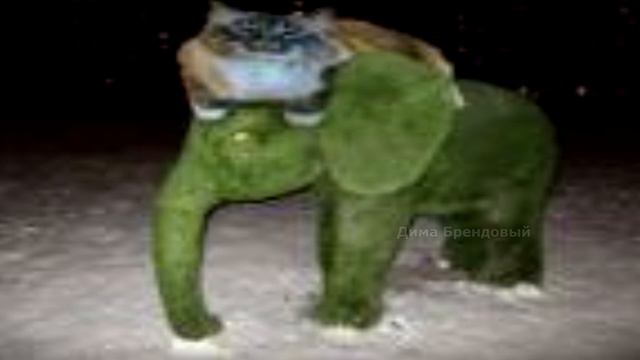 КОТ НА СЛОНЕ ИЗ МХА смотреть онлайн