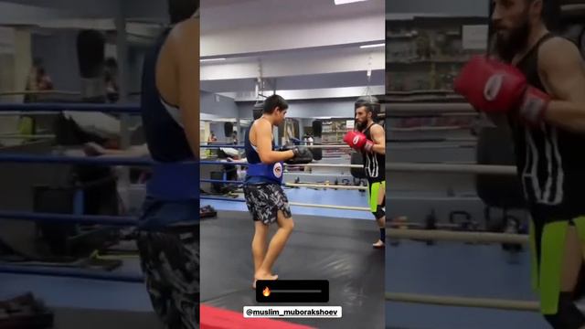Подготовка в профессиональному бою🥊 #кикбоксинг #тайскийбокс #лайк #тренер #бокс #мма #рек #топ смотреть онлайн