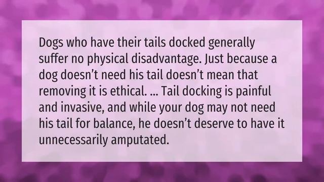 Can a puppy die from tail docking? смотреть онлайн