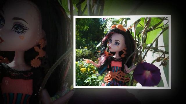 Фоточки с Monster High Dracubecca ( Дракубека.) . смотреть онлайн