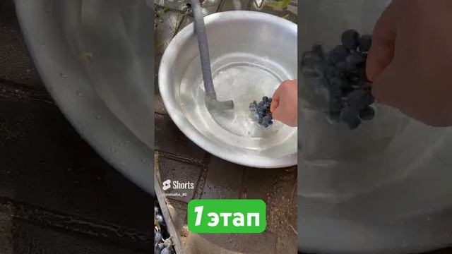 Виноделие от А до Я