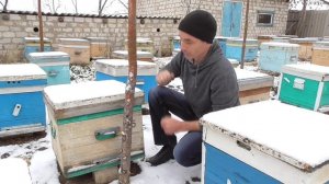 Система ульев/Какой улей выбрать/Какой улей лучше