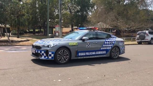 QPS - Kia Stinger Leaving Kenilworth Cheese Factory + (Lighting Demo) + (AIR HORN) смотреть онлайн