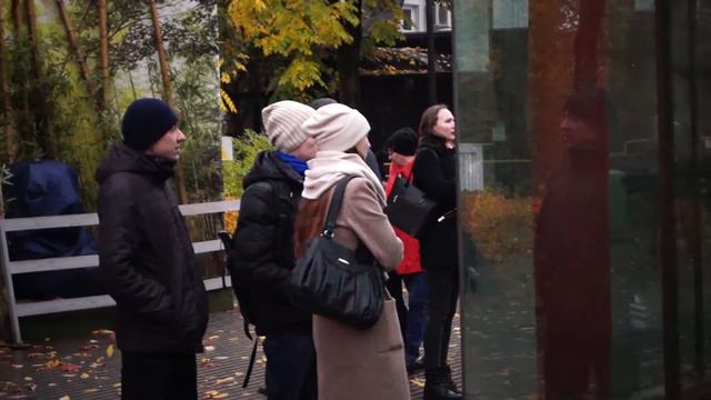 Панда смотреть онлайн