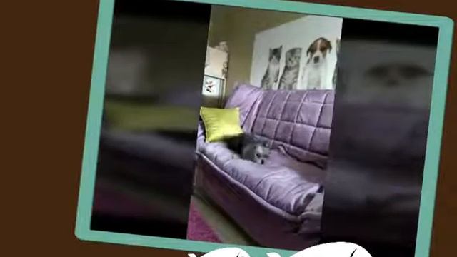 Бусинке посвящается: С прошедшим Днём Варенья, моя пуська😘 смотреть онлайн