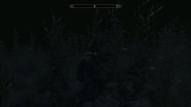 Skyrim. Сон, вызванный полетом лошади вокруг Скайрима, за секунду до пробуждения. смотреть онлайн