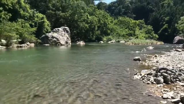 BBQ 🍗 no Rio Hamamatsu 🍖🍺 смотреть онлайн