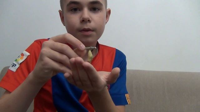 Итоги за лето. Бабочка Калиго Атрей (Caligo Atreus) и моя куколка Махаона. смотреть онлайн