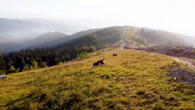 Relajación Curativa Intensa Anti Depresión, Estrés Y Ansiedad, Energía Positiva |Sueño Profundo #13