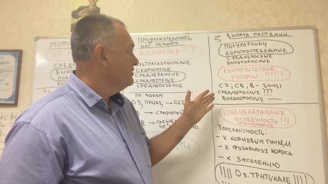Выбираем сорта озимой пшеницы - как не обжечься смотреть онлайн