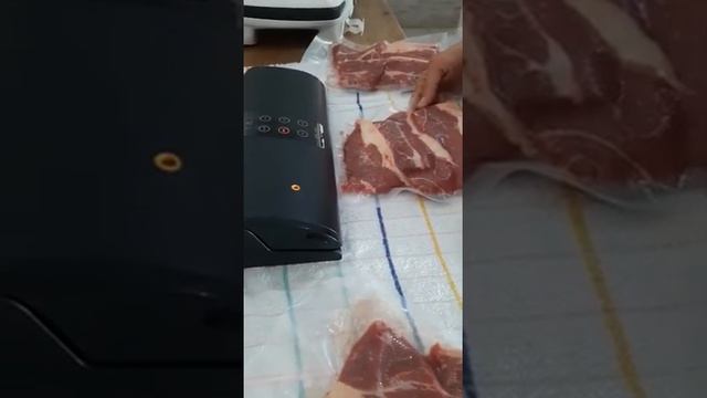Seladora Vácuo SX - 280 смотреть онлайн