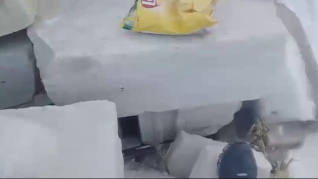 Убегаю От Овчарк смотреть онлайн