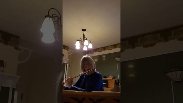 Berbiguier Etude #13 for Flute Alone by Judy Braude смотреть онлайн