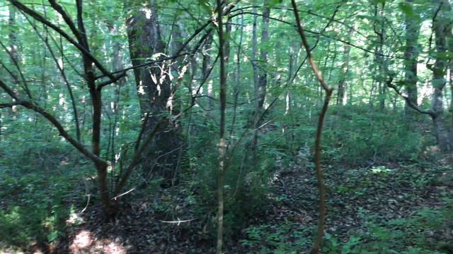 Тропинка к морю, с остатками былого величия Дачи Суворина смотреть онлайн