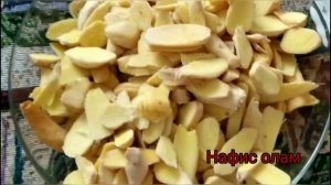 Занжабил имбирь кимларга мумкин эмас?