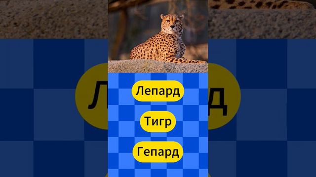 Угадай названия животного часть 3 #тест #знания смотреть онлайн