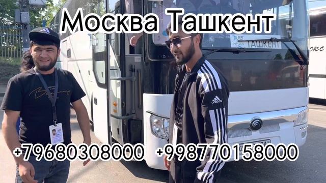 Москва Ташкент автобус Санкт-Петербург #москва #ташкент #автобус #автобус #санктпетербург #шортс ￼ смотреть онлайн
