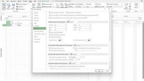 Microsoft Project 2021 - Basics - In 25 minutes - Easy!