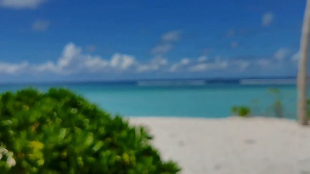SPA тур Мальдивы, студия гибкости "JUST FIT". Ближайший заезд на райский остров январь, февраль 202 смотреть онлайн