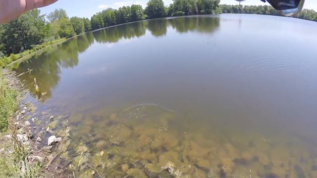TINY Lure Challenge!!! - Ep.1 (Mini Crankbait) смотреть онлайн