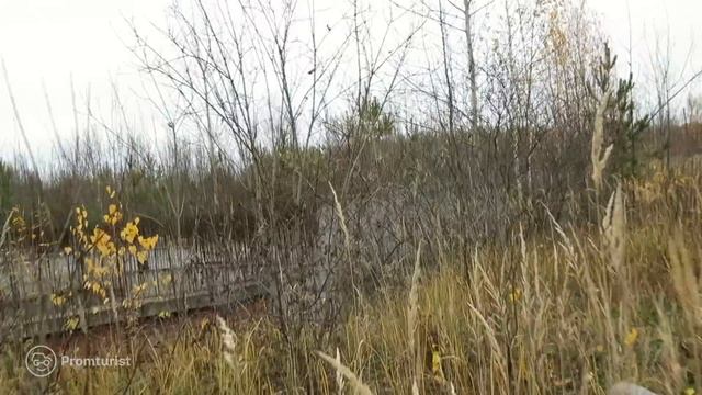 Путешествие в заброшенный посёлок крутейших таунхаусов и домов недалеко от Москвы смотреть онлайн