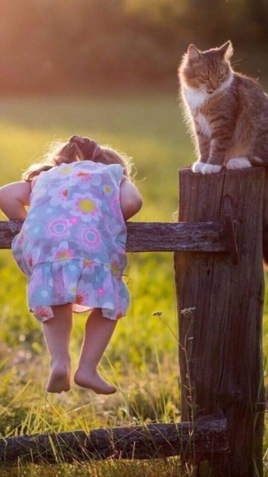 Хорошо у бабушки в деревне ! смотреть онлайн