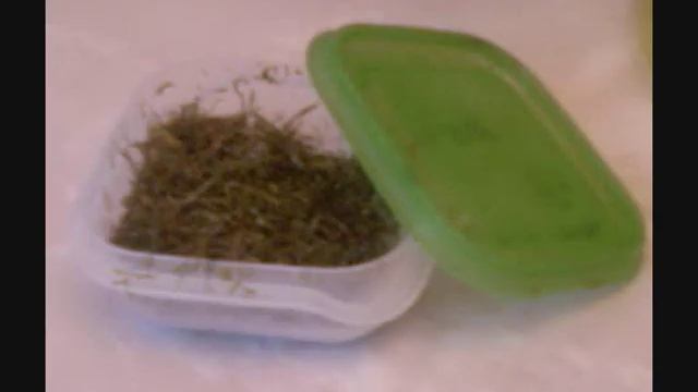 Готовим рассольник!.wmv